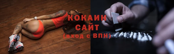 прущие грибы Баксан