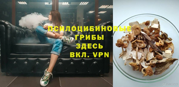 прущие грибы Баксан