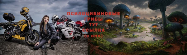 прущие грибы Баксан