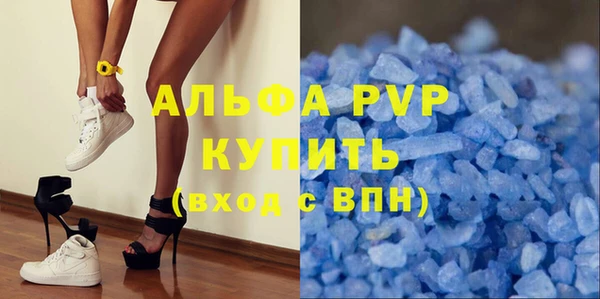 прущие грибы Баксан