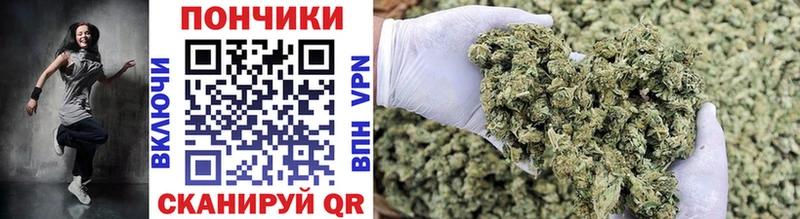 МЕГА ТОР  продажа наркотиков  Магас  Бошки Шишки OG Kush 